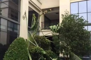 厦门厦华（探索厦门厦华的美丽与魅力）