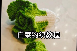 大白菜盘使用教程（一起来学习如何巧妙利用大白菜盘，打造丰富多样的美味佳肴！）