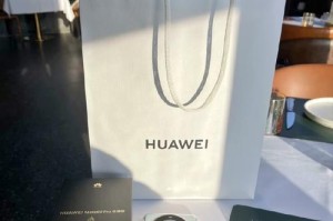 华为Mate手机屏幕更换教程（以华为Mate手机更换屏幕为例，教你一步步完成屏幕更换）