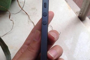 苹果5港版的功能与性能如何？（探索苹果5港版的亮点与不足）
