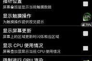 强制cpu进行2d渲染是什么意思,技术挑战与优化策略