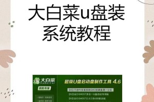 使用U盘启动大师安装系统教程（详细教你使用U盘启动大师安装系统，轻松解决系统安装问题）