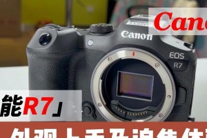 佳能6D追焦体验（佳能6D追焦功能评价及应用案例分享）