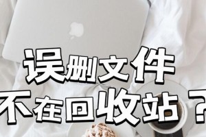 回收站文件清理后如何恢复？（从误删到文件找回的全过程详解）