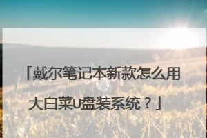 戴尔电脑使用大白菜U盘装系统教程