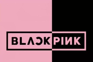 Blink（揭秘Blink）