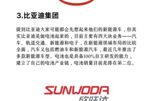 国内新能源电池排名前十名的综述（揭秘国内新能源电池产业的领先品牌与技术）