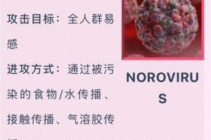 手机病毒彻底清理的注意事项（保护你的手机安全，解决病毒困扰）