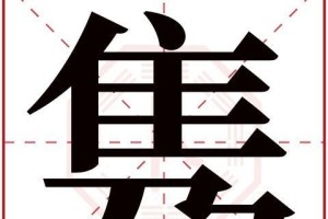 李巧丽——一位杰出的个人形象代表（李巧丽的成功之路及对个人形象的影响）