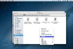 移动硬盘文件怎么复制到桌面,轻松将移动硬盘文件一键复制至桌面