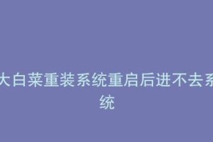 以新硬盘大白菜安装教程（轻松安装新硬盘，享受大白菜系统的乐趣）