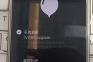 魅族手机丢了怎么办,快速定位、远程操作与数据保护