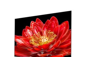 长虹Q5N电视的优点和功能剖析（一款性价比高的智能电视）