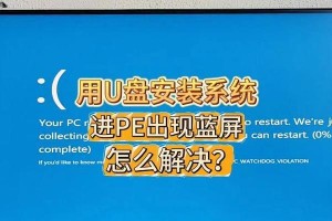电脑蓝屏自己有U盘怎么重装系统（教你如何利用U盘自助重装电脑系统）