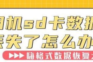 相机sd卡数据恢复,轻松找回丢失照片与视频