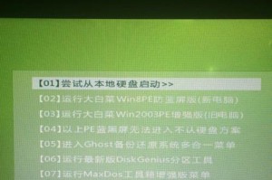 使用大白菜从U盘安装系统教程（简易操作，快速安装，让你轻松搭建新系统）