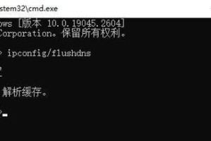 电脑DNS设置错误的原因及解决方法（网络连接问题、ISP限制、路由器设置等影响DNS设置的因素）