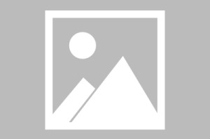 办公电脑新手入门教程（从零开始，轻松掌握办公电脑技巧）