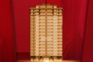 启购时代（以科技创新为驱动，重塑消费方式的关键时代）